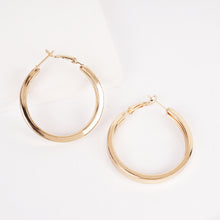 Load image into Gallery viewer, Harmony Hoop Earrings